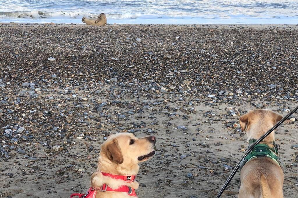Dog Friendly Cottage 2 Mins To Beach With Hot Tub And Zappi Ev Lessingham エクステリア 写真