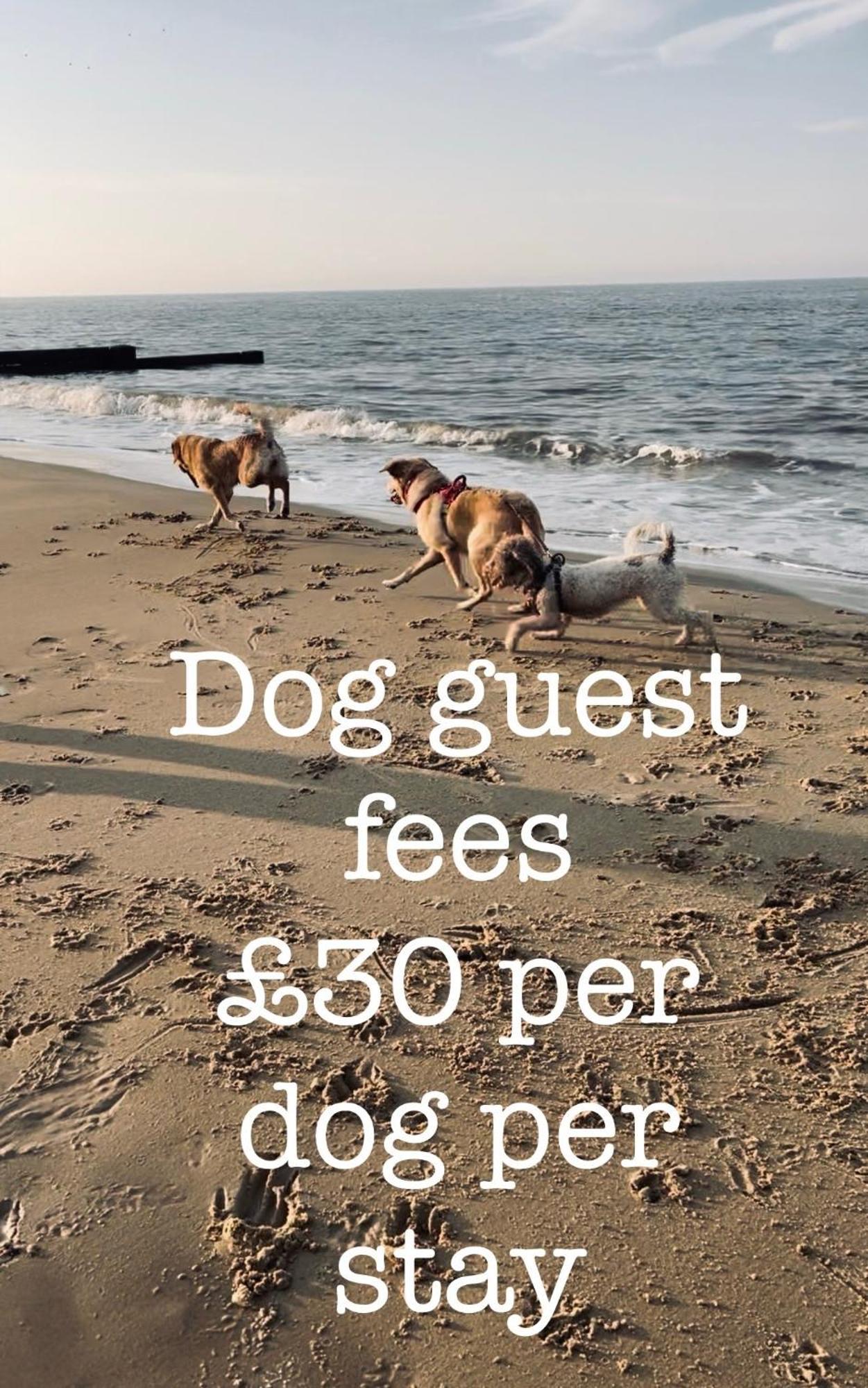 Dog Friendly Cottage 2 Mins To Beach With Hot Tub And Zappi Ev Lessingham エクステリア 写真