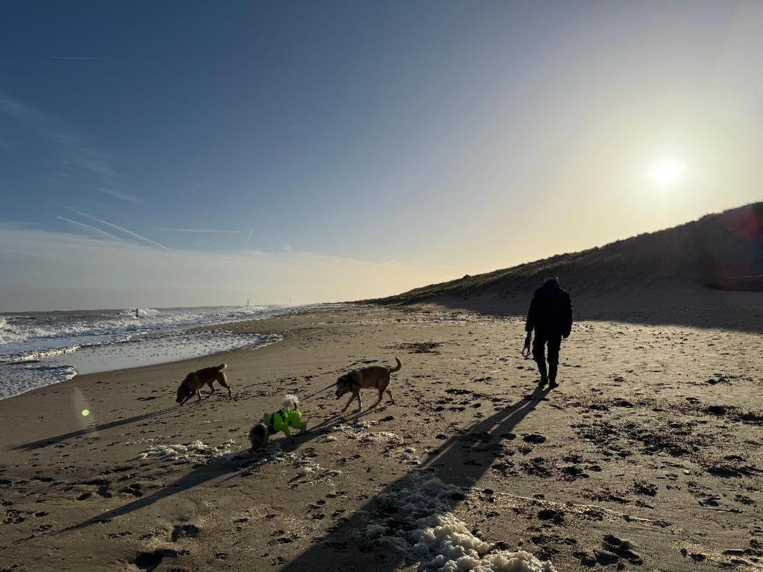 Dog Friendly Cottage 2 Mins To Beach With Hot Tub And Zappi Ev Lessingham エクステリア 写真